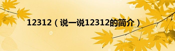 12312（说一说12312的简介）