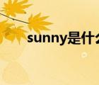 sunny是什么意思（hot是什么意思）