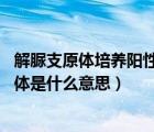 解脲支原体培养阳性是什么意思（解脲支原体介绍 解脲支原体是什么意思）