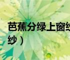 芭蕉分绿上窗纱打一最佳生肖（芭蕉分绿上窗纱）