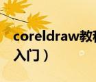 coreldraw教程入门视频（coreldraw9教程入门）