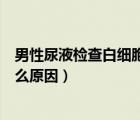 男性尿液检查白细胞高是什么原因（尿液检查白细胞高是什么原因）