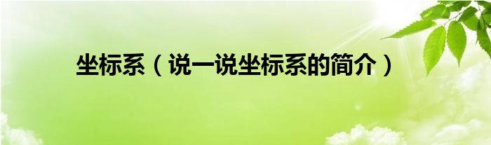 坐标系（说一说坐标系的简介）