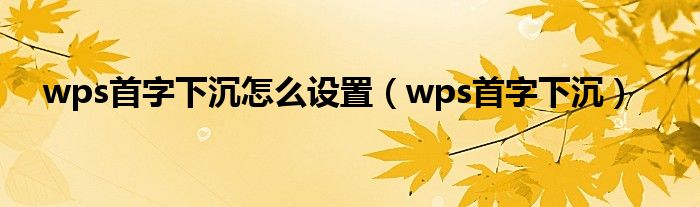 wps首字下沉怎么设置（wps首字下沉）