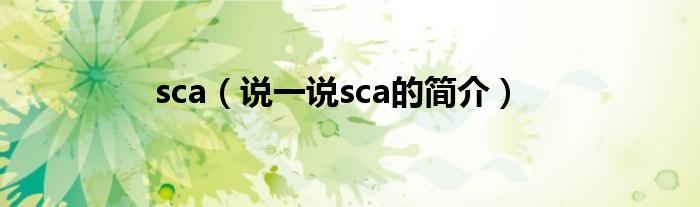 sca（说一说sca的简介）