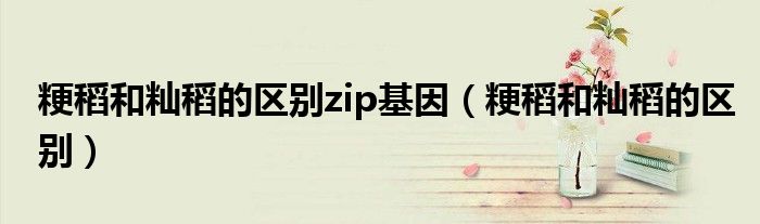 粳稻和籼稻的区别zip基因（粳稻和籼稻的区别）