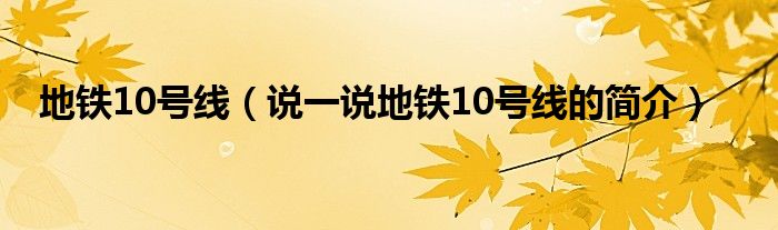 地铁10号线（说一说地铁10号线的简介）