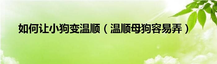 如何让小狗变温顺（温顺母狗容易弄）