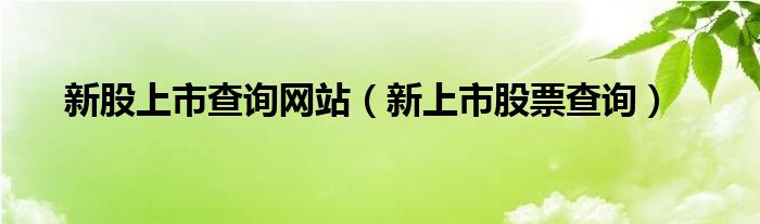 新股上市查询网站（新上市股票查询）