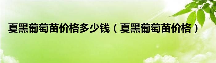 夏黑葡萄苗价格多少钱（夏黑葡萄苗价格）