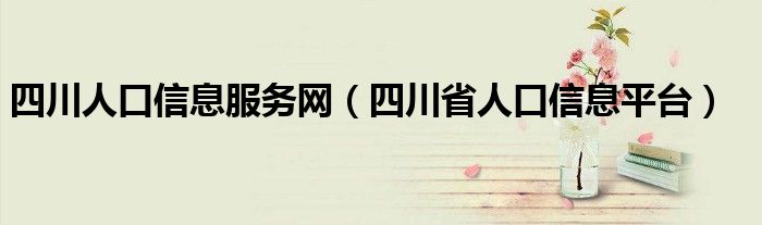 四川人口信息服务网（四川省人口信息平台）