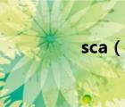 sca（说一说sca的简介）