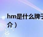 hm是什么牌子（说一说hm是什么牌子的简介）