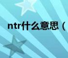 ntr什么意思（说一说ntr什么意思的简介）