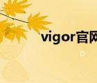 vigor官网plc（vigor plc官网）