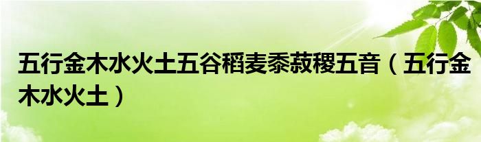 五行金木水火土五谷稻麦黍菽稷五音（五行金木水火土）