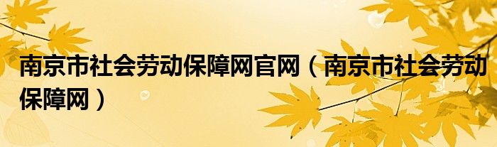 南京市社会劳动保障网官网（南京市社会劳动保障网）