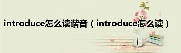 introduce怎么读谐音（introduce怎么读）