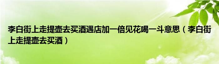 李白街上走提壶去买酒遇店加一倍见花喝一斗意思（李白街上走提壶去买酒）