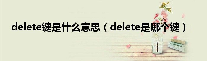 delete键是什么意思（delete是哪个键）