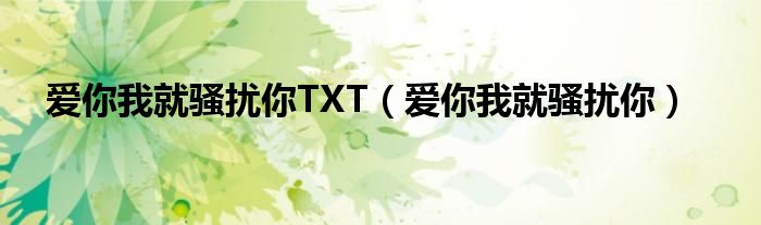 爱你我就骚扰你TXT（爱你我就骚扰你）