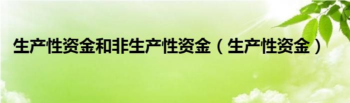 生产性资金和非生产性资金（生产性资金）