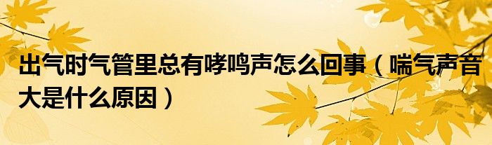 出气时气管里总有哮鸣声怎么回事（喘气声音大是什么原因）