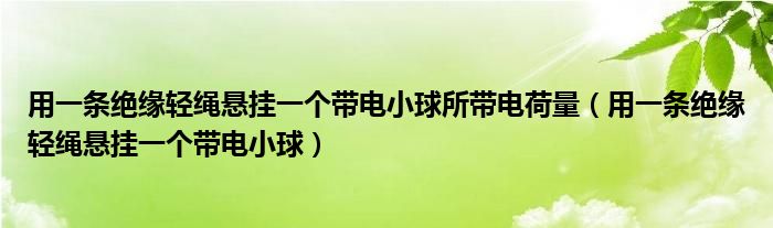 用一条绝缘轻绳悬挂一个带电小球所带电荷量（用一条绝缘轻绳悬挂一个带电小球）