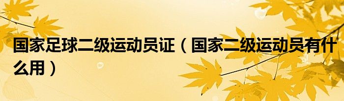 国家足球二级运动员证（国家二级运动员有什么用）