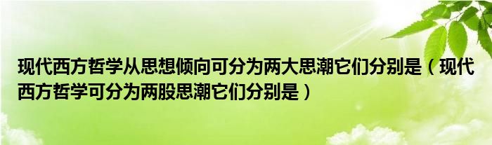 现代西方哲学从思想倾向可分为两大思潮它们分别是（现代西方哲学可分为两股思潮它们分别是）