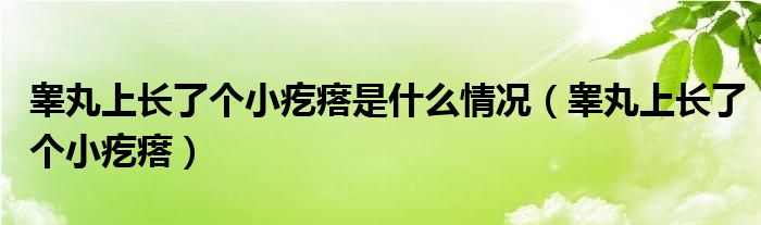 睾丸上长了个小疙瘩是什么情况（睾丸上长了个小疙瘩）