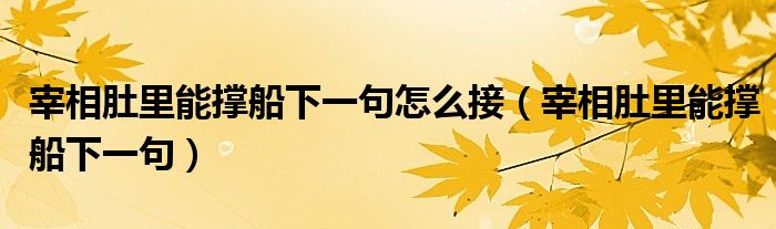 宰相肚里能撑船下一句怎么接（宰相肚里能撑船下一句）