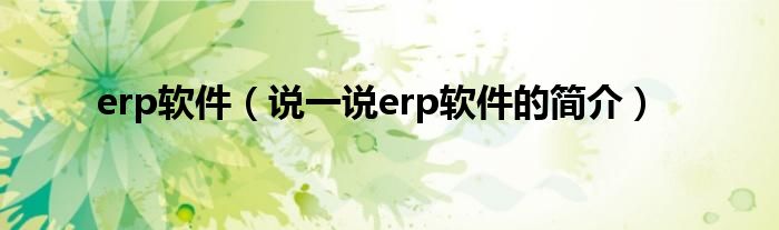 erp软件（说一说erp软件的简介）