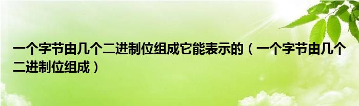 一个字节由几个二进制位组成它能表示的（一个字节由几个二进制位组成）