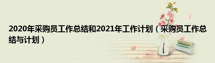 2020年采购员工作总结和2021年工作计划（采购员工作总结与计划）