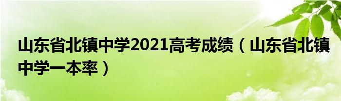 山东省北镇中学2021高考成绩（山东省北镇中学一本率）