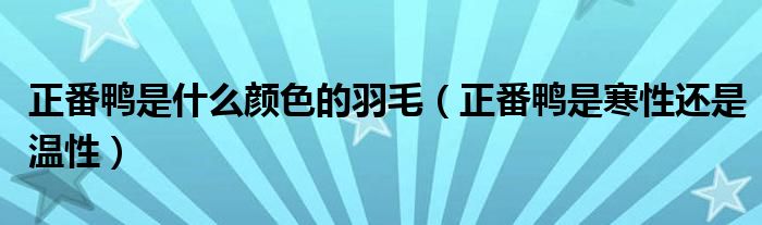 正番鸭是什么颜色的羽毛（正番鸭是寒性还是温性）