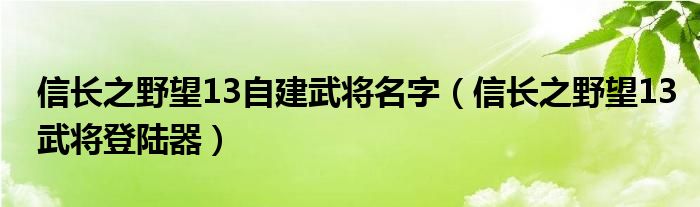 信长之野望13自建武将名字（信长之野望13武将登陆器）