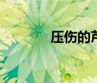 压伤的芦苇他不折断（压伤）