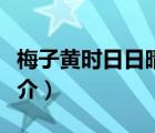 梅子黄时日日晴（说一说梅子黄时日日晴的简介）