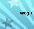 wcg（说一说wcg的简介）