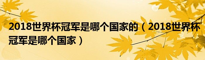 2018世界杯冠军是哪个国家的（2018世界杯冠军是哪个国家）