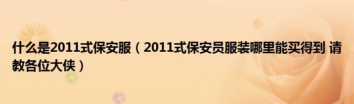 什么是2011式保安服（2011式保安员服装哪里能买得到 请教各位大侠）