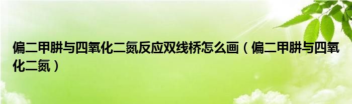 偏二甲肼与四氧化二氮反应双线桥怎么画（偏二甲肼与四氧化二氮）