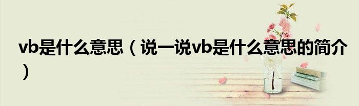 vb是什么意思（说一说vb是什么意思的简介）