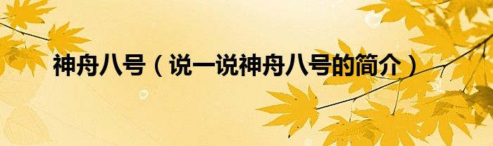 神舟八号（说一说神舟八号的简介）