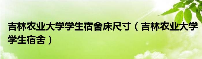 吉林农业大学学生宿舍床尺寸（吉林农业大学学生宿舍）