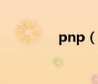 pnp（说一说pnp的简介）