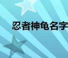 忍者神龟名字对应人物（忍者神龟名字）