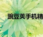 豌豆荚手机精灵（豌豆荚手机连接助手）